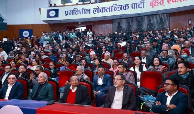  प्रगतिशील लोकतान्त्रिक पार्टी घोषणा 